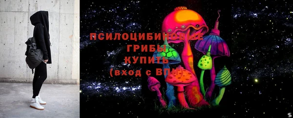 шишки Алексин