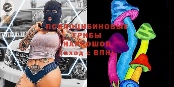 шишки Алексин