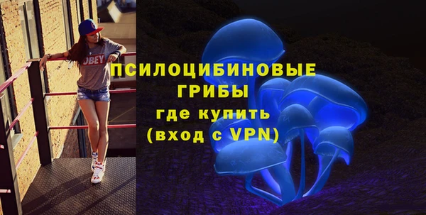 шишки Алексин