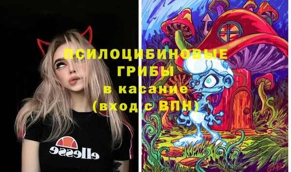 МДМА Алексеевка